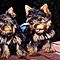 Affectioinate-teacup-yorkie-puppies-needs-a-loving-home